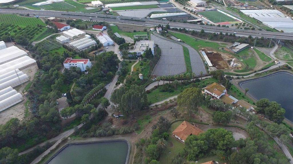 Finca La Mayora|dieterWiemberg